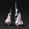 00fa053528c4a3e717c2b2c77c3c70d7.png Bloody Elves Commanders - 2x