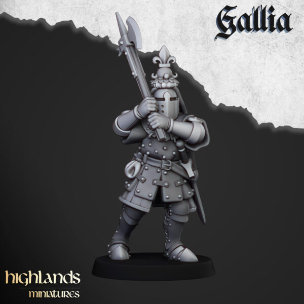 Knights of Gallia on Foot - x17 + 3 CMD