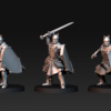 High humans warriors with Swords and Shields - x1