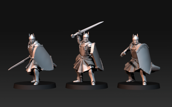 High humans warriors with Swords and Shields - x1