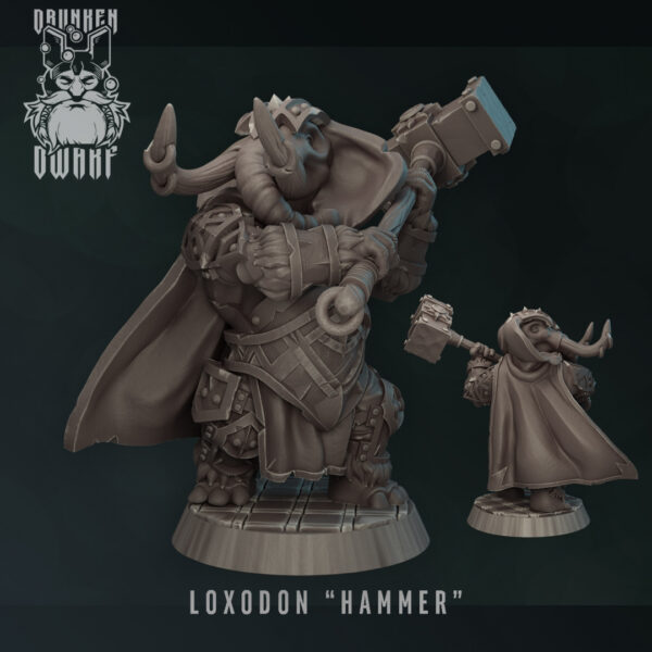 Loxodon "hammer"