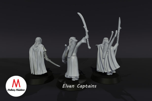 Elven Captains - Wood Elves - 3 Pozy