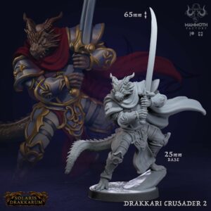 077366c8dfd73cb20c2bcb0b8ca48333.jpg Drakkari Crusader - #2