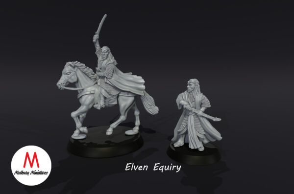 Elven Equiry - Zestaw F/M - Wood Elves