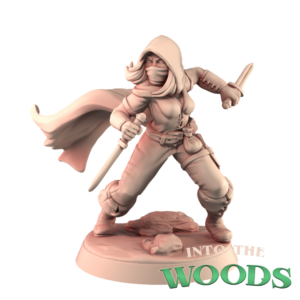 0ca2aeefa3c7205b046a75ba96242b18.png Rogue