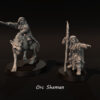 Orc Shaman - Mounted