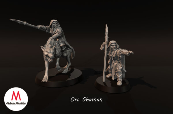 Orc Shaman - Mounted