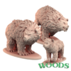 Bears - x1