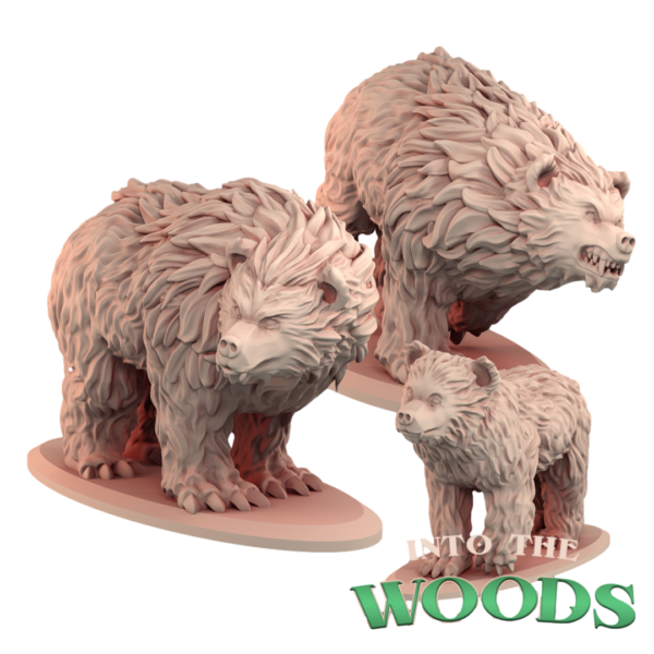 Bears - x1