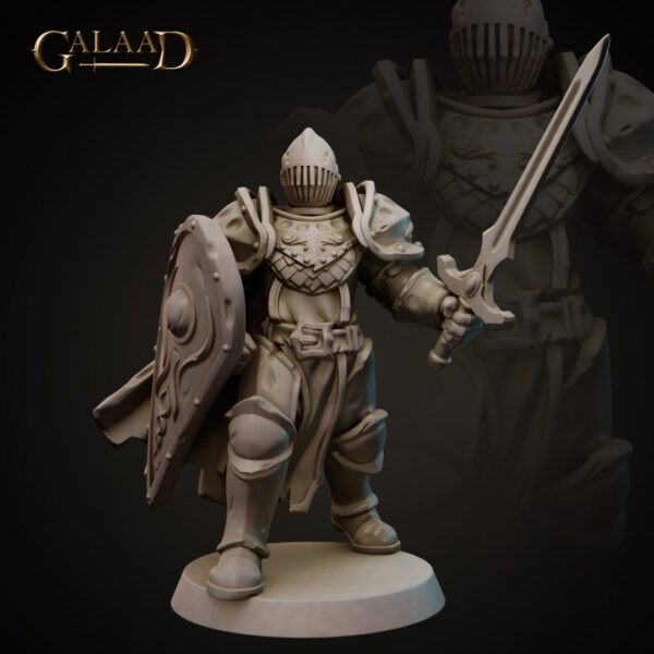 15d49f2e3b441c6e5aebbba80dceae4b.jpg Knight Sword and Shield 3 - Modular Head