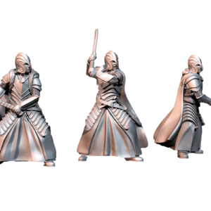 197c59940bf6570d316e45aca8b0bdc2.png Bloody Warrior Elves - Swordmen 6x Zestaw