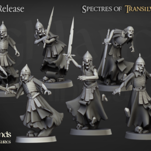 Wraith Unit 10x - Jednostka Zjawy