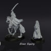 Elven Equiry - Zestaw F/M - Wood Elves