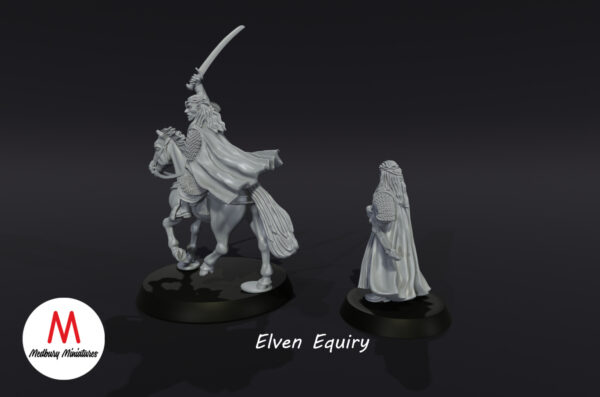 Elven Equiry - Zestaw F/M - Wood Elves
