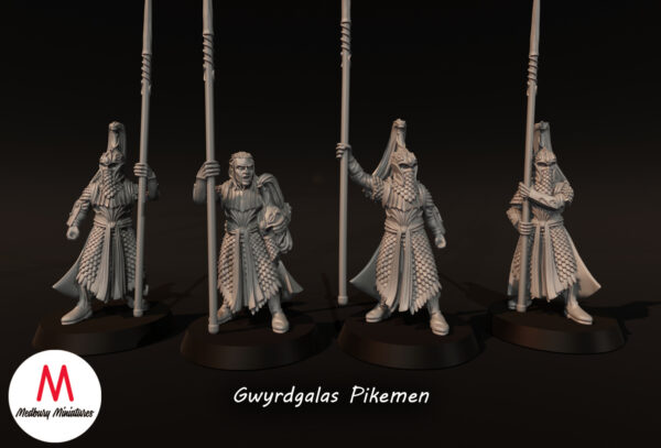 20e1526bdab3948a4e33048bc4c4c62d.jpg Gwyrdgalas Pikemen - x4