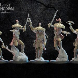 Dark Elves - Akkorokamui, Corsairs x5 - Druk 3D