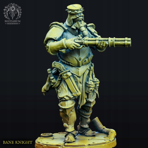 Bane Knights - Druk 3D