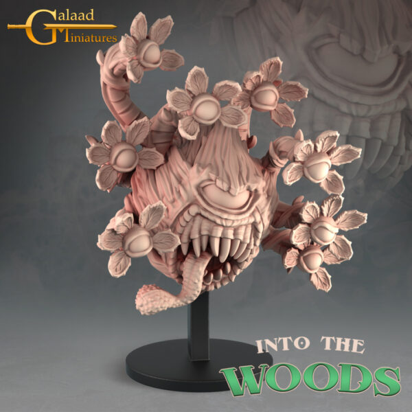 Eyes of the Forest