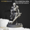 2413fa06f2ca0d1c7dc35a8847397659.png Skeleton Warriors - 3x CMD