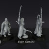 Elven Captains - Wood Elves - 3 Pozy