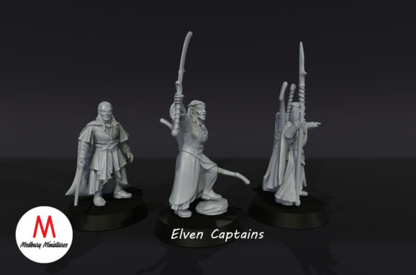 Elven Captains - Wood Elves - 3 Pozy