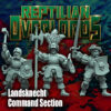 2a41dd2088daea8d782c6f64597dd027.jpg Landsknecht Command - x3