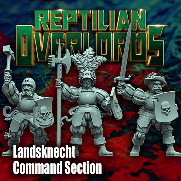2a41dd2088daea8d782c6f64597dd027.jpg Landsknecht Command - x3
