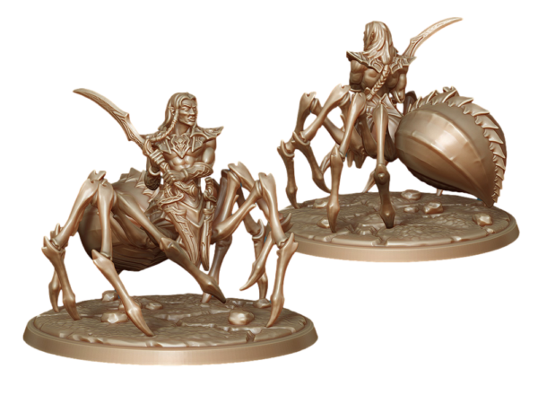 Dark Elf Blessed Champion - Labirynth Models