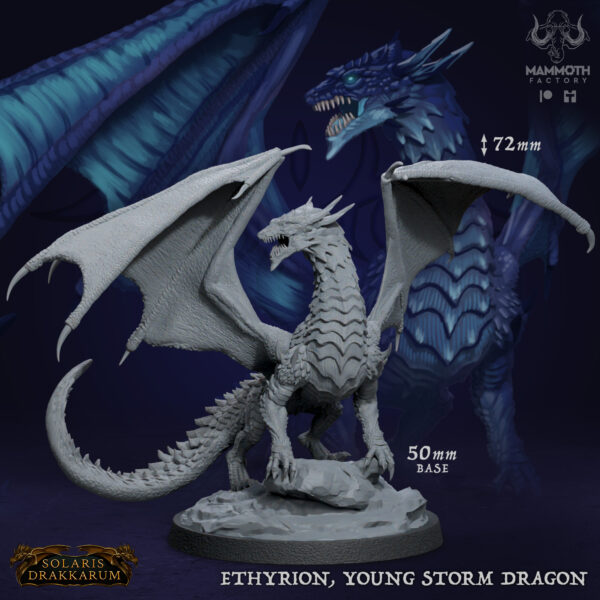 Ethyrion, Young Storm Dragon - x1