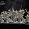 Dark Elves - Akkorokamui, Corsairs x10 - Druk 3D