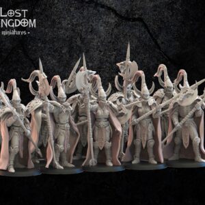Hisui Guard - Lost Kingdom - Druk 3D