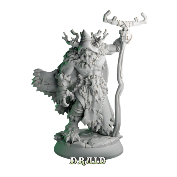 Forest of Druids Set