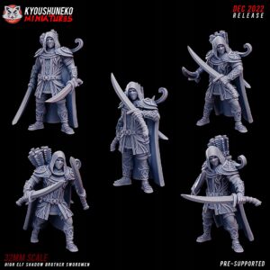 High Elf Shadow Brother Swordmen x5 - Minifaktura