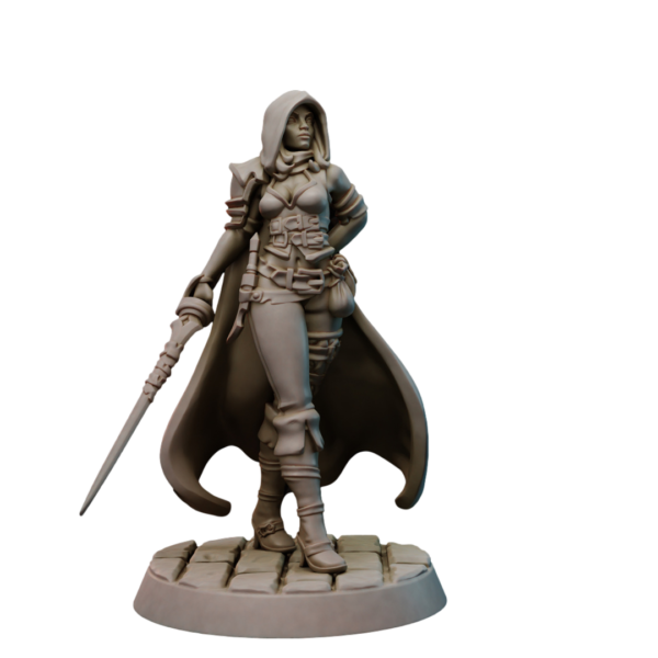 Thieves Guild Set