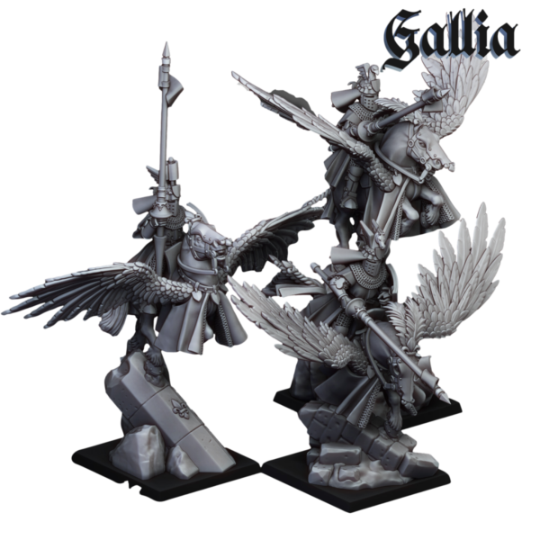 38db0614dedff569858263b5b537ff95.png Pegasus Knights - x3