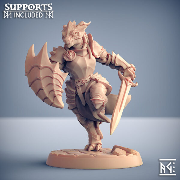 3a7c369e34abfc6082da1d9c827dccd6.jpg The Dragonguard - x1