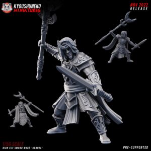 High Elf Sword Mage Aranel - Kyoushenko Miniatures