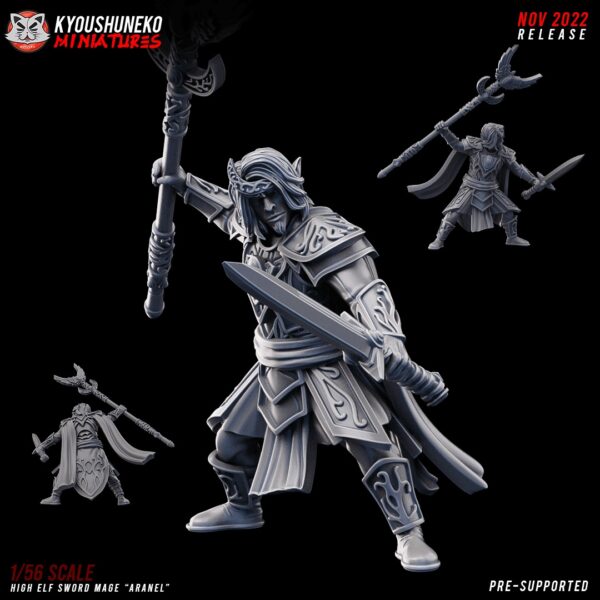 3db5271867163cea37fedfdc55ea57c7.jpg High Elf Sword Mage Aranel - Kyoushenko Miniatures