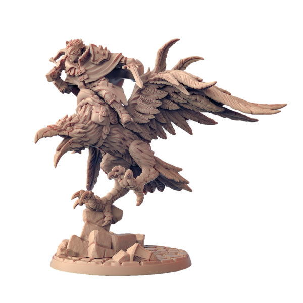 3e8a1660259ccb20502a76ef1c97277e.png Aaron on Shadowclaws the Dire Raven