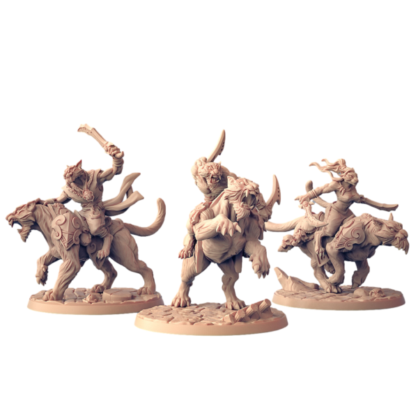 454dd50f77075103b335a1e86feac4b8.png Rakshatiger Riders - x1