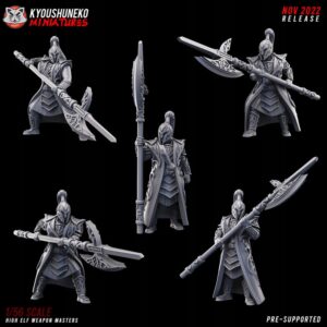 466edfcabe89cfb93210bead00e91a41.jpg High Elf Weapon Masters x5 - Kyoushenko Miniatures