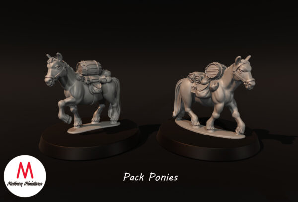 47880fff4832347925c865a41ee09c3e.jpg Pack Ponies - x1