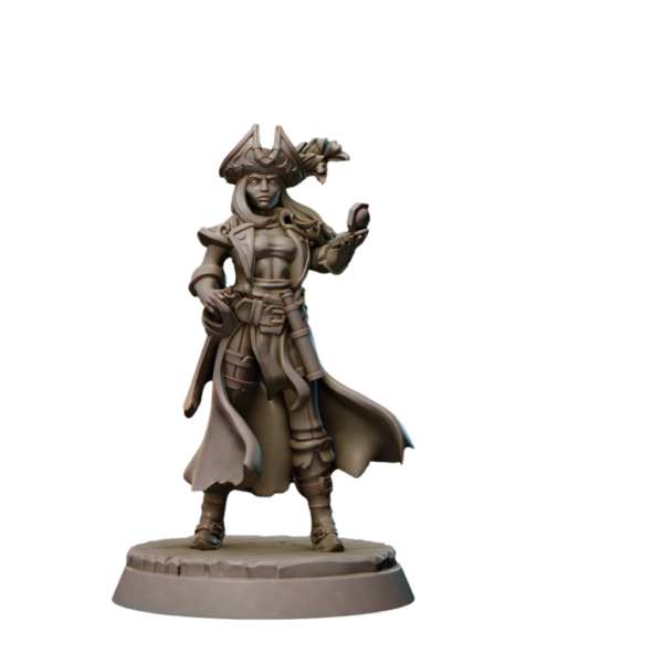 Pirate Heroes Set