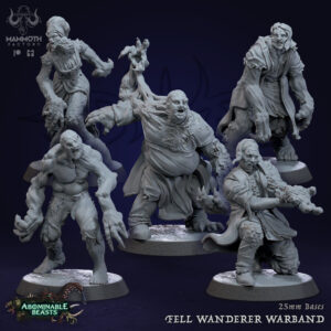 Fell Wanderer Warband - x5