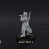 Elven Bard - Elf z Fletem - Wood Elves
