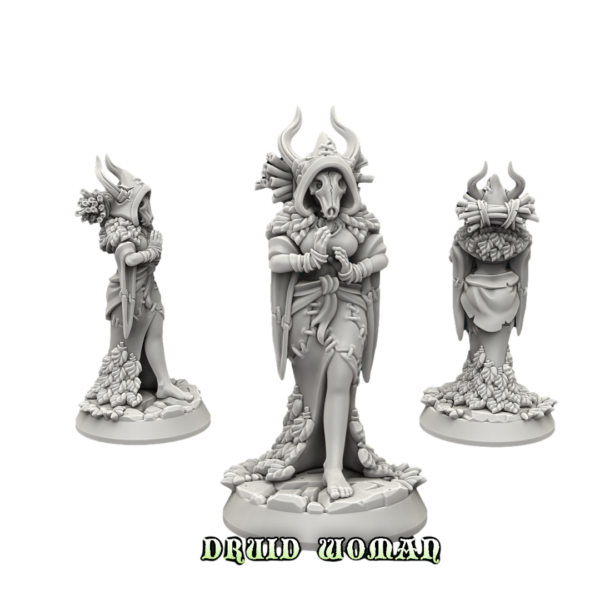 4ef017600b3ce4269b0a49140adcf6c2.png Druid woman in Mask