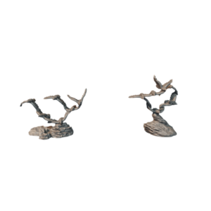 Birds - x2