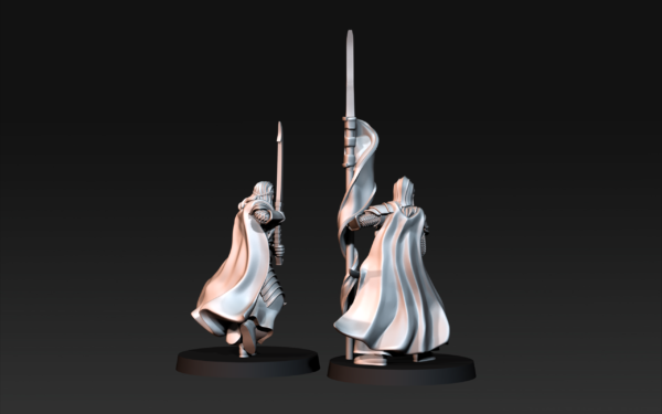 Bloody Elves Commanders - 2 Pozy