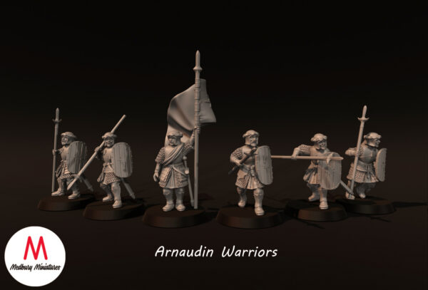 Arnaudin Warriors Banner - x1