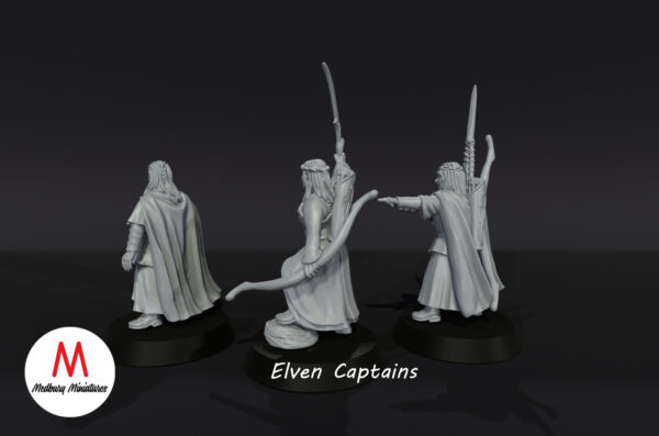 Elven Captains - Wood Elves - 3 Pozy